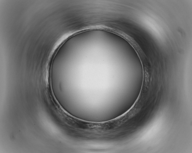 X0000112061054200908181154