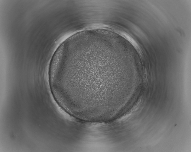 X0000112061055200908181154