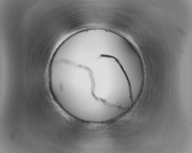 X0000112061056200908181154