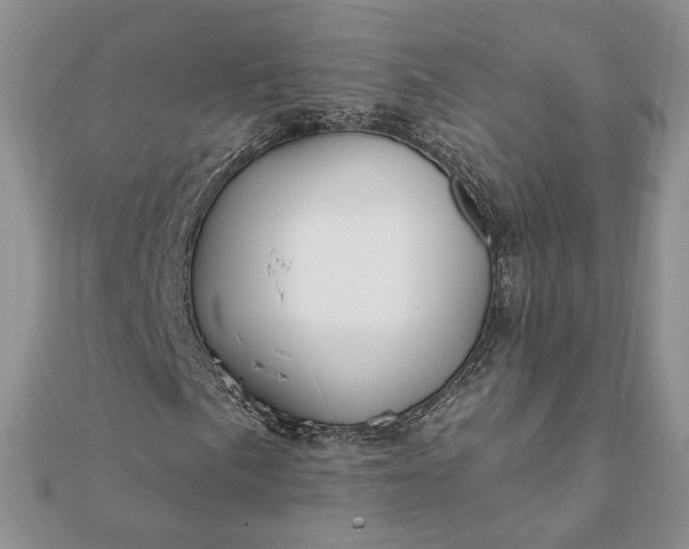 X0000112061057200908181153