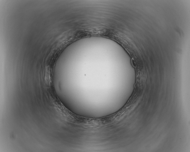 X0000112061058200908181153