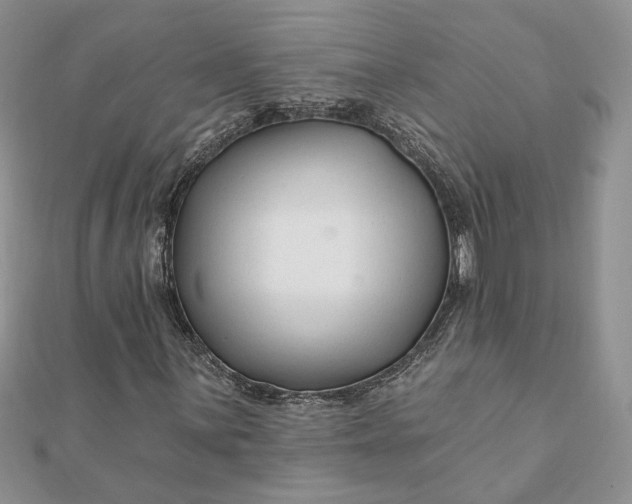 X0000112061059200908181153