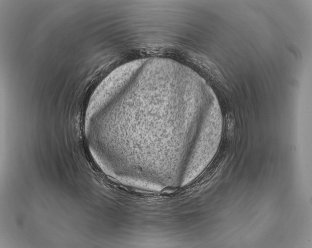 X0000112061060200908181153