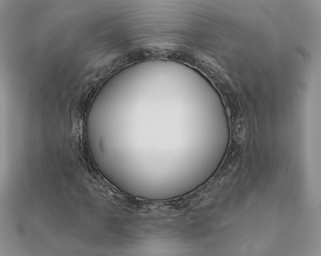 X0000112061061200908181153