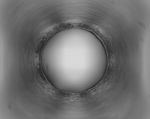 X0000112061062200908181153