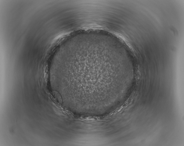 X0000112061063200908181153