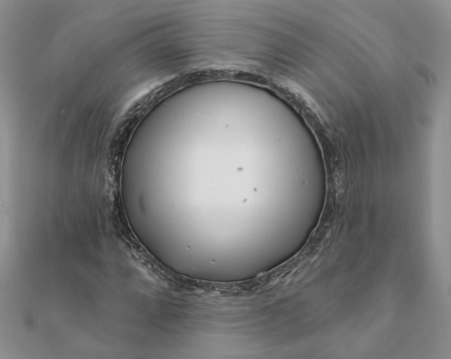 X0000112061064200908181153