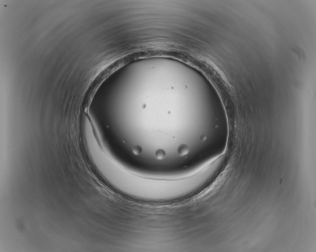 X0000112061065200908181153