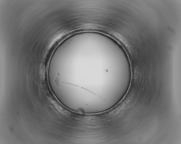 X0000112061067200908181153