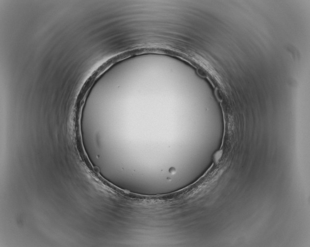 X0000112061068200908181153