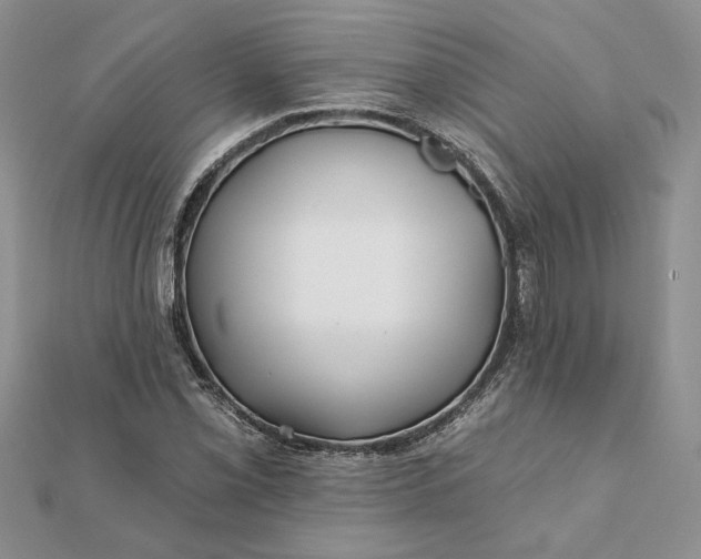 X0000112061069200908181153