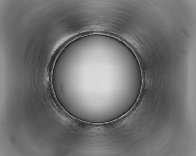 X0000112061070200908181153