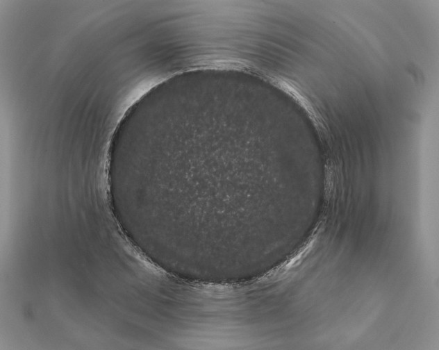 X0000112061071200908181153