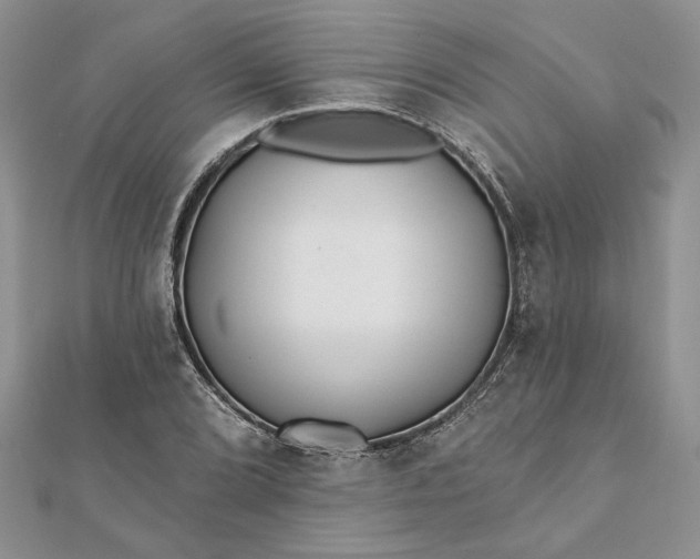 X0000112061072200908181153