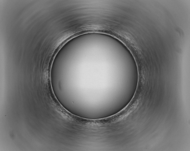 X0000112061073200908181153