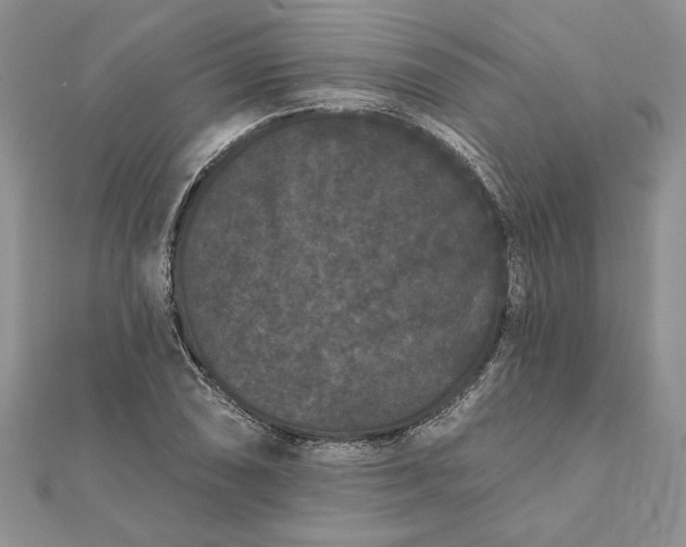 X0000112061074200908181153