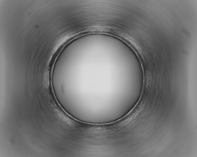 X0000112061075200908181153