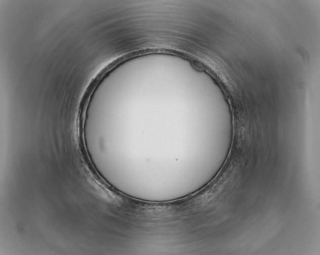 X0000112061076200908181153