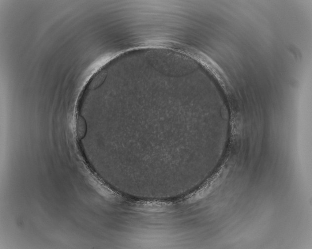 X0000112061077200908181153