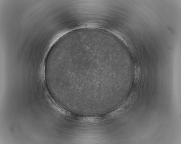 X0000112061078200908181153