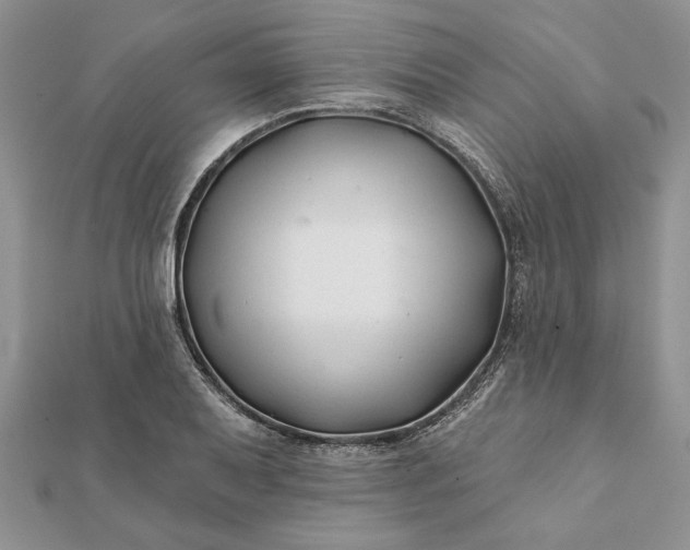 X0000112061079200908181153