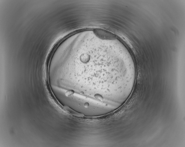 X0000112061080200908181153