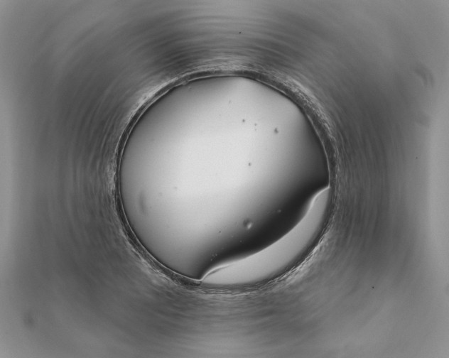 X0000112061081200908181153