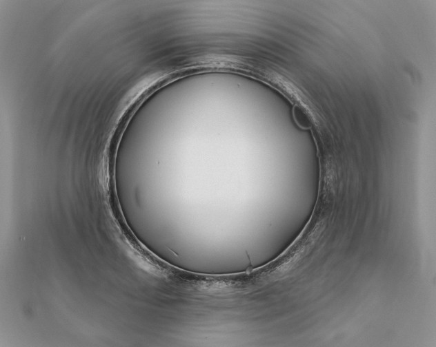 X0000112061082200908181153