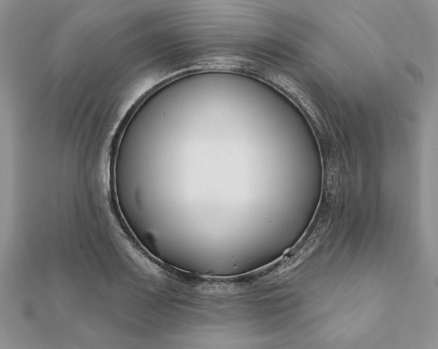 X0000112061083200908181153