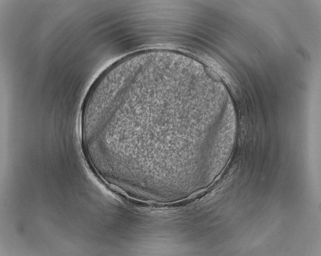 X0000112061084200908181153