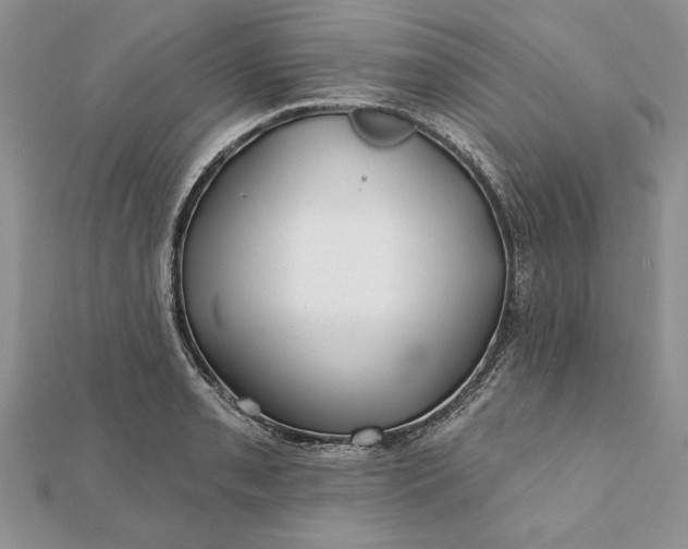 X0000112061085200908181153