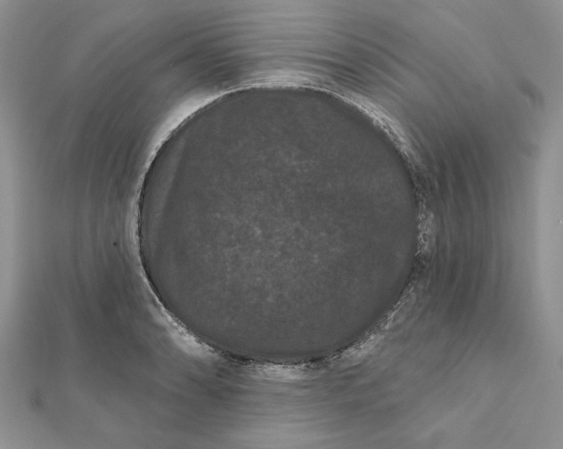 X0000112061086200908181153