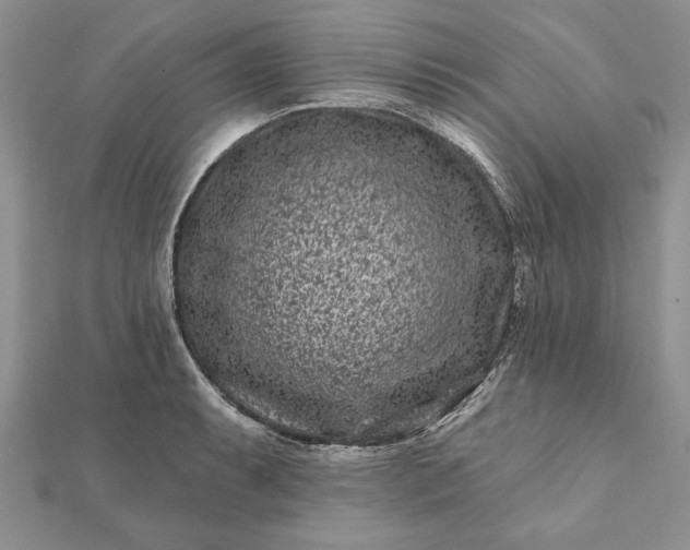 X0000112061087200908181153