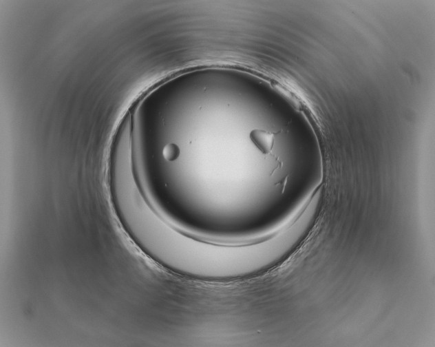 X0000112061088200908181153