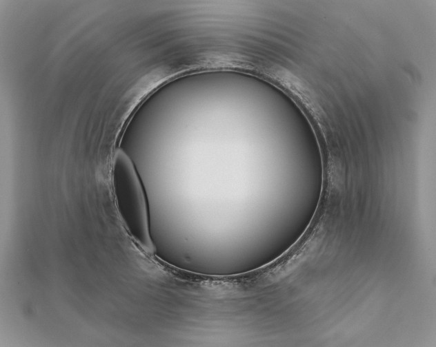 X0000112061089200908181152