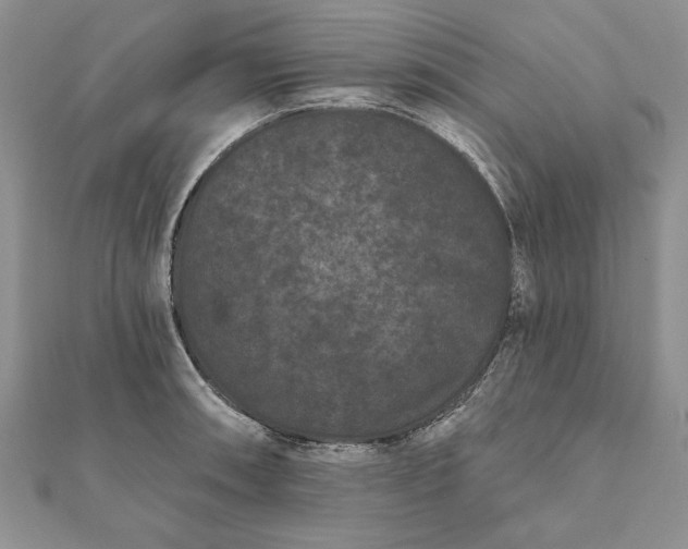 X0000112061090200908181152