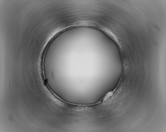 X0000112061091200908181152