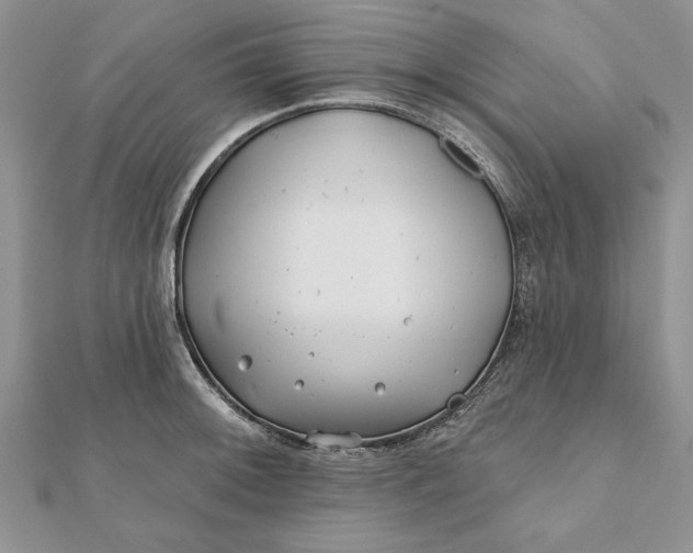 X0000112061092200908181152