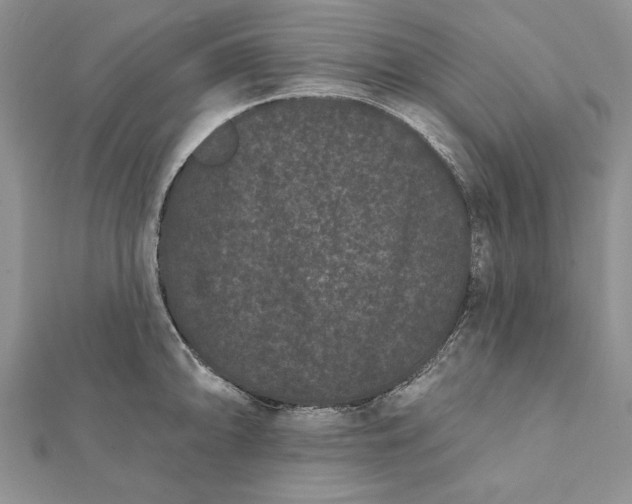 X0000112061094200908181152