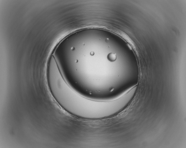 X0000112061096200908181152