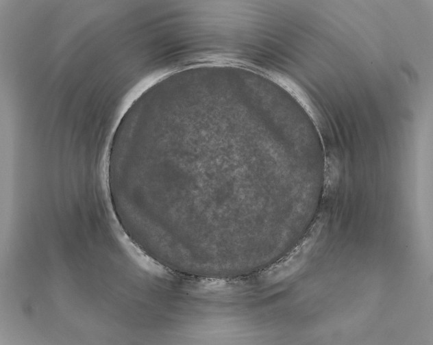 X0000112061098200908181152