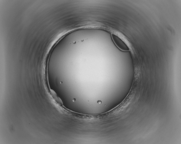 X0000112061099200908181152