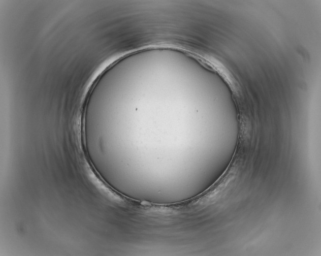 X0000112061100200908181152