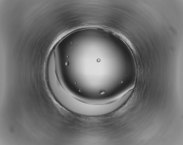 X0000112061101200908181152