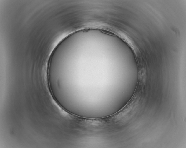 X0000112061103200908181152