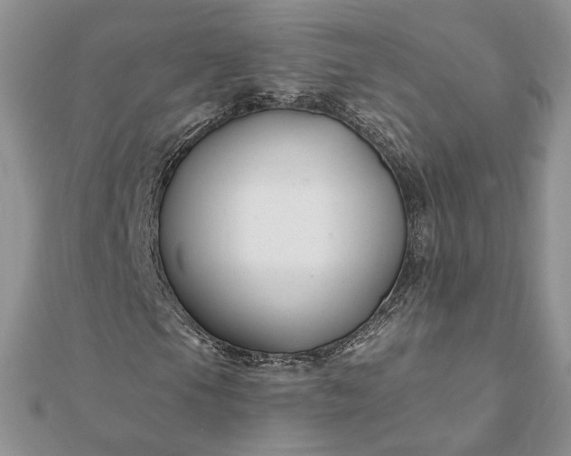 X0000112061105200908181152