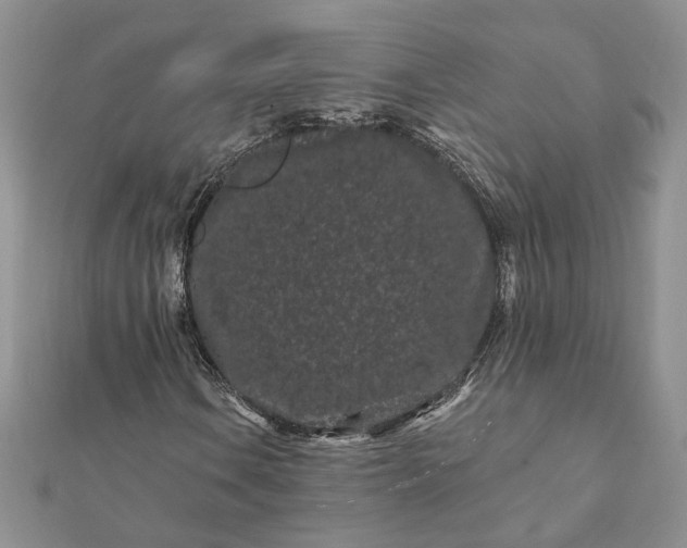 X0000112061106200908181152