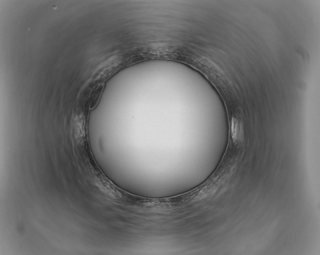 X0000112061107200908181152