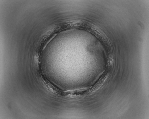 X0000112061108200908181152