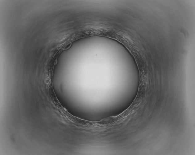 X0000112061109200908181152